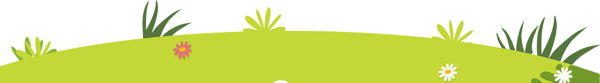 shape
